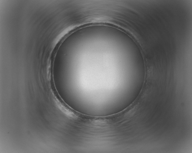 X0000077321126200610271703