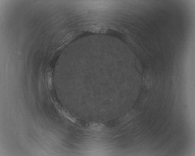 X0000077321154200610271703
