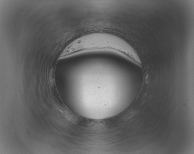 X0000077321156200610271703