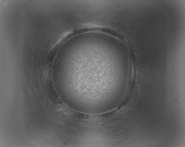 X0000077321157200610271703
