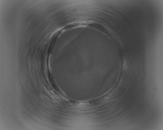 X0000077321161200610271703