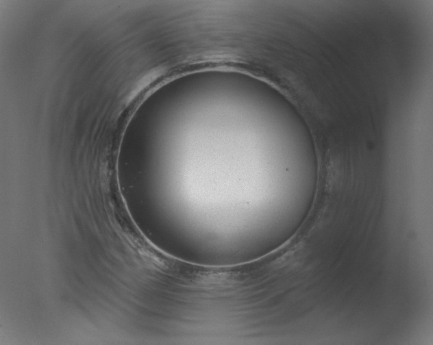 X0000077321162200610271703