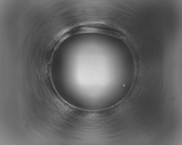 X0000077321169200610271703