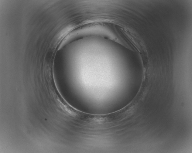 X0000077321177200610271702