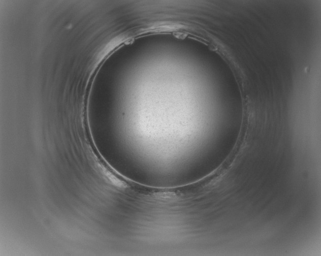 X0000077321186200610271702