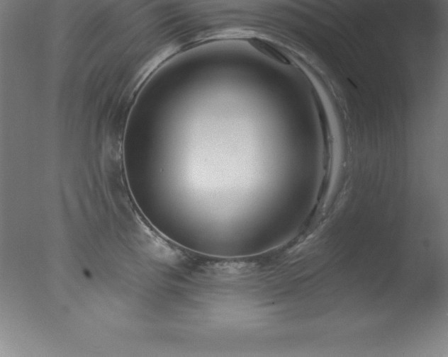 X0000077321193200610271702