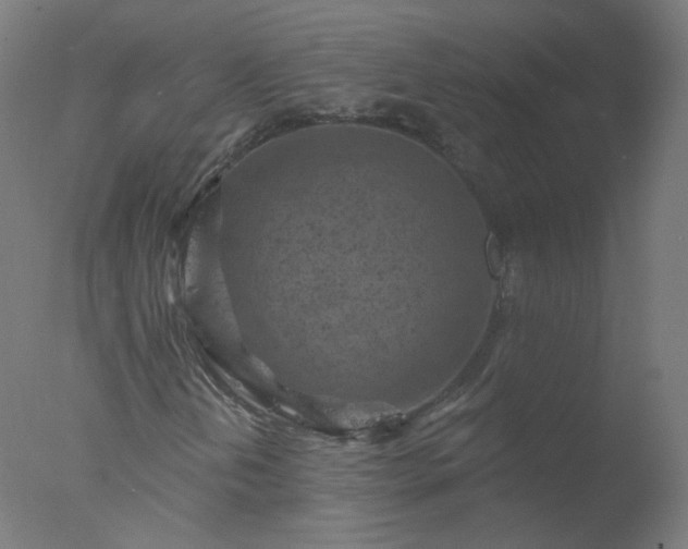 X0000077321202200610271701