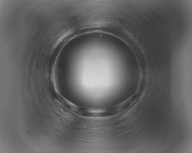 X0000077321210200610271701