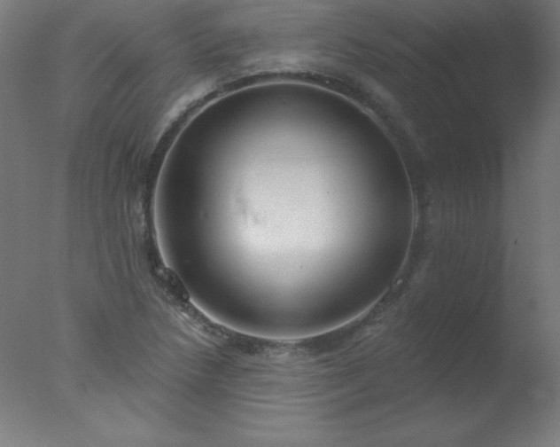X0000077321218200610271701