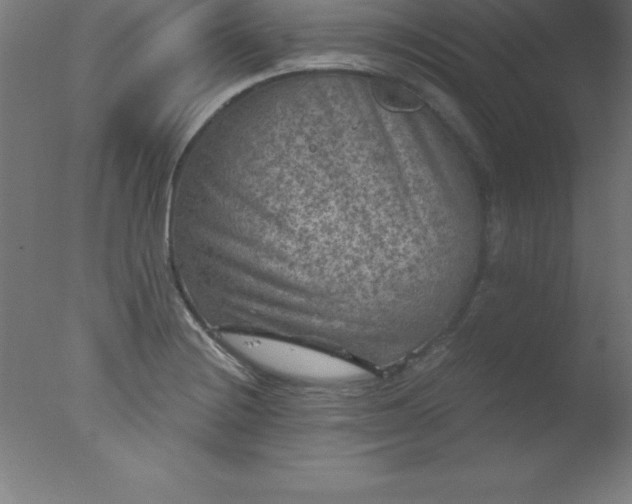 X0000077321228200610271702