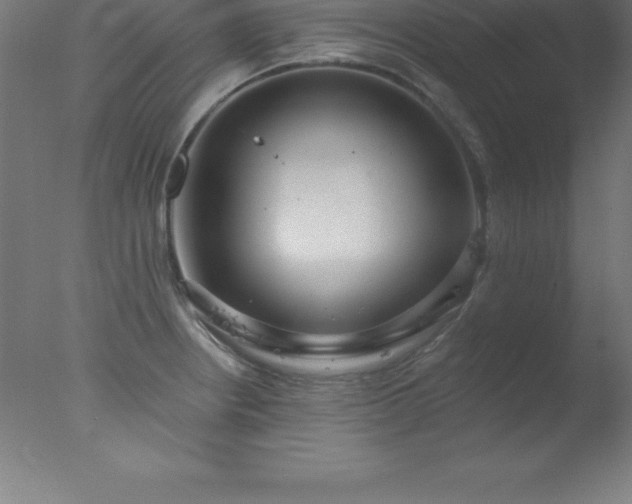 X0000077321234200610271702
