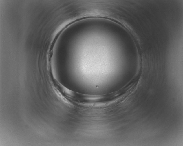 X0000077321238200610271702