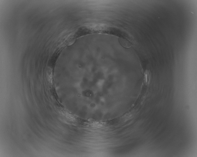 X0000077321251200610271701