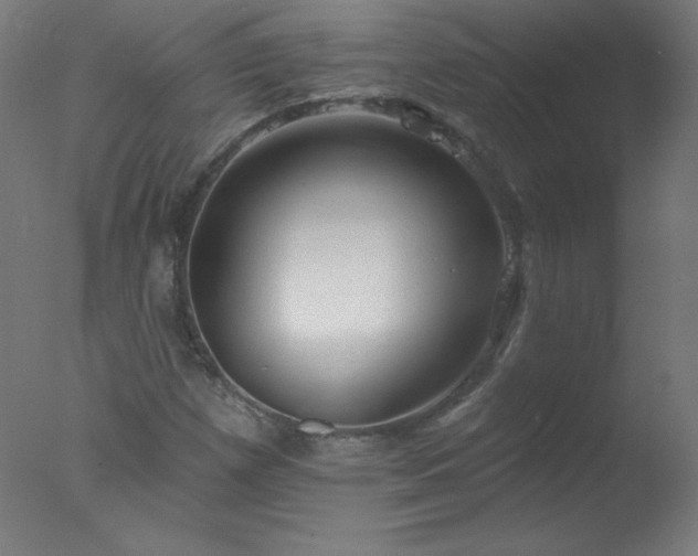 X0000077321257200610271701
