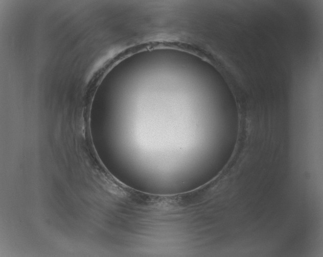 X0000077321262200610271701