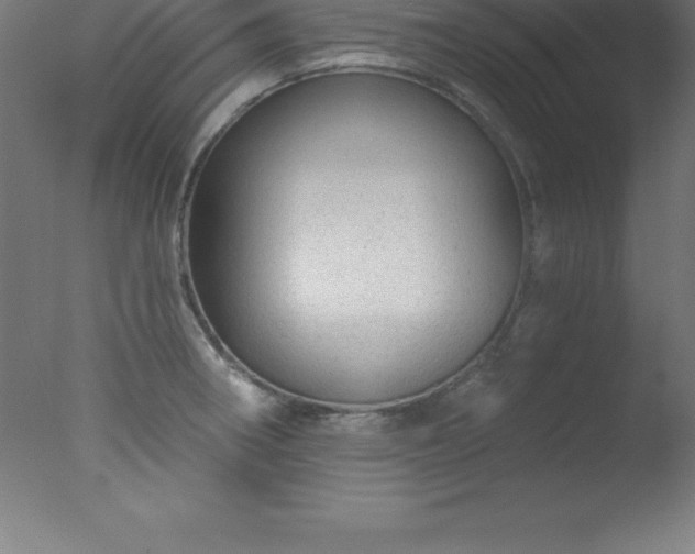 X0000077321282200610271701
