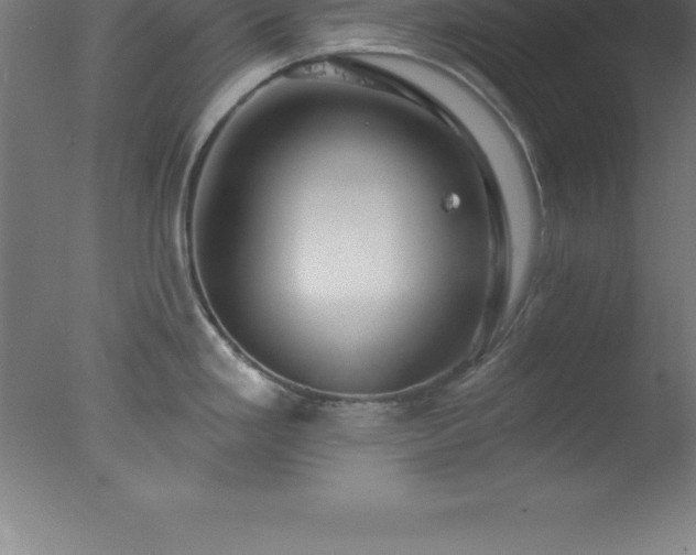 X0000077321293200610271700