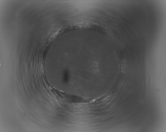 X0000077321298200610271659
