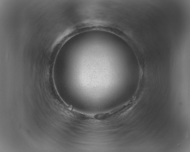X0000077321309200610271700