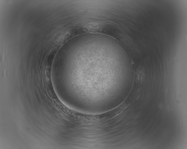 X0000077321346200610271659