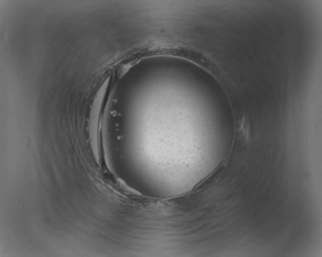 X0000077321348200610271659