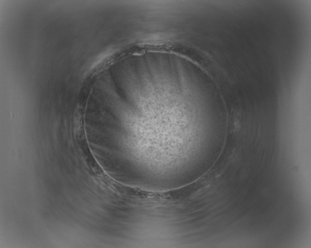 X0000077321350200610271659