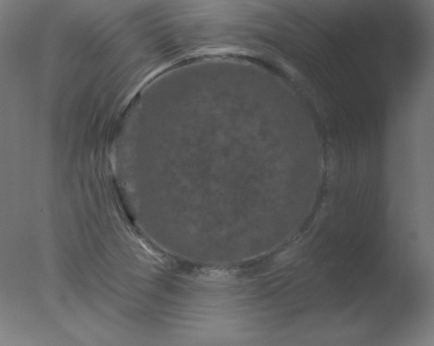 X0000077321361200610271659