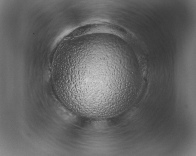 X0000077321363200610271659