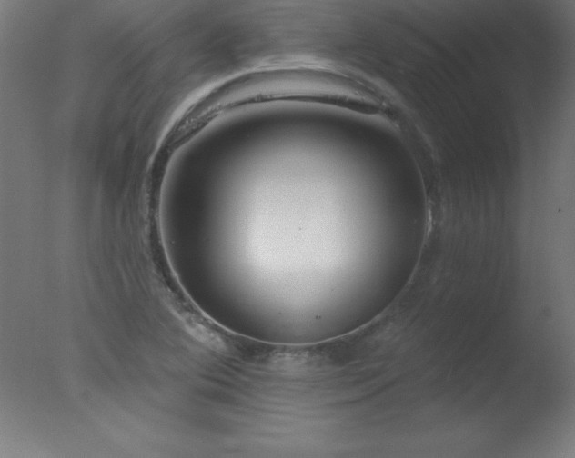 X0000077321364200610271659
