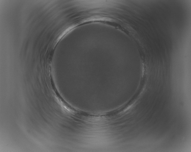 X0000077321369200610271659