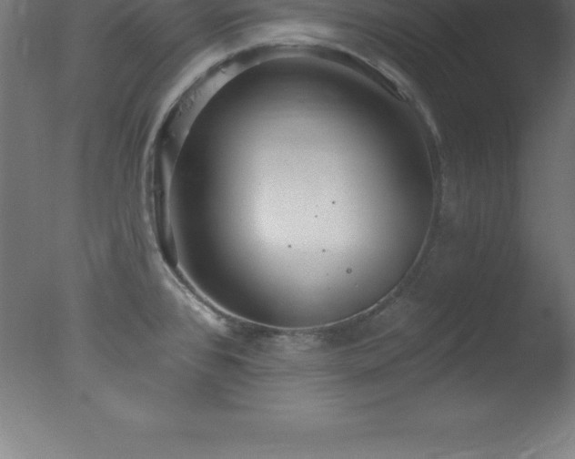 X0000077321384200610271659