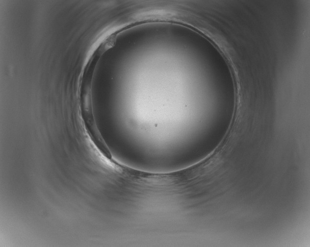 X0000077321392200610271659