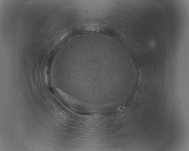 X0000077321394200610271658