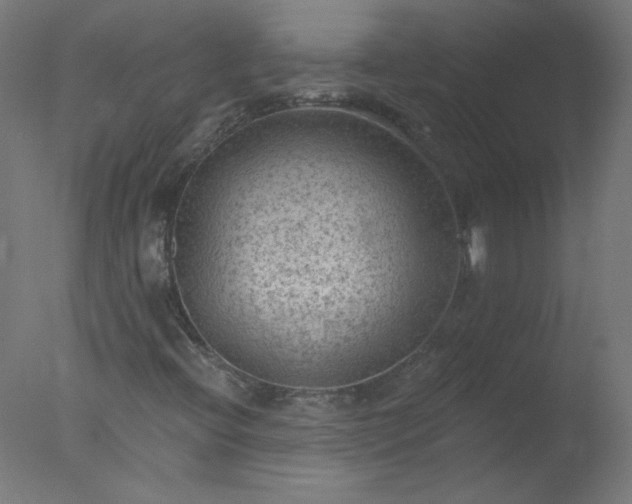X0000077321396200610271658