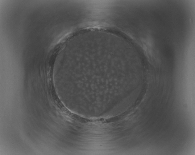 X0000077321399200610271658