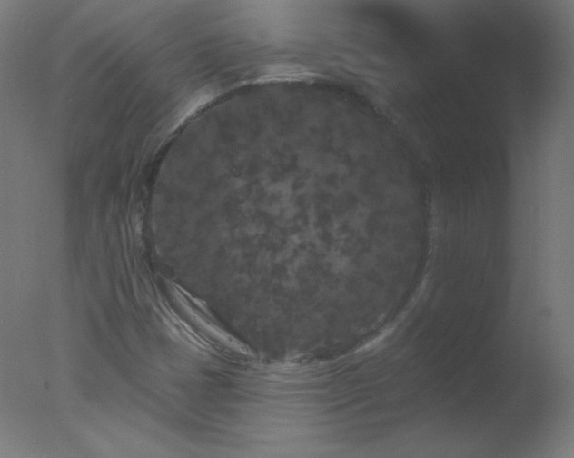 X0000077321401200610271658