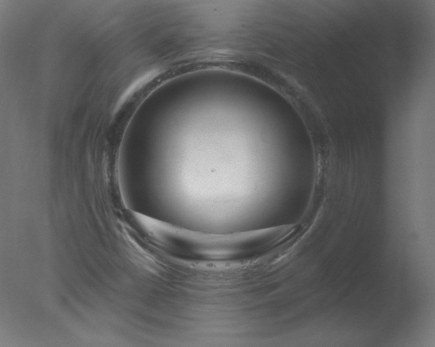 X0000077321402200610271658