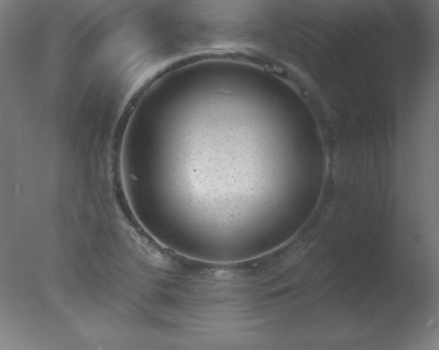 X0000077321412200610271658