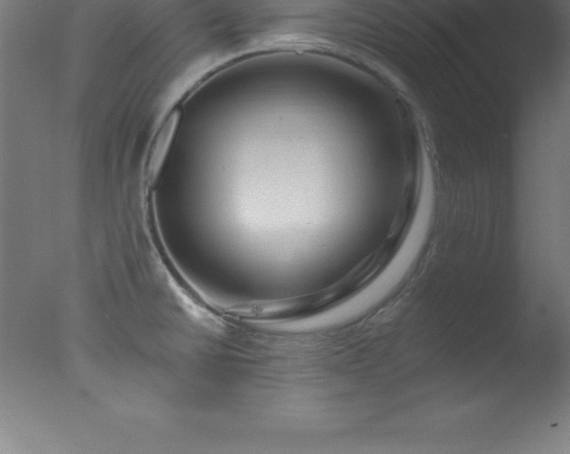 X0000077321430200610271658