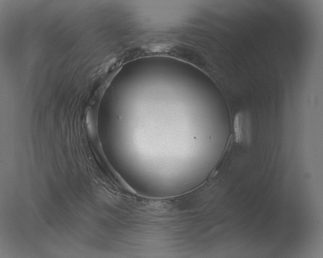 X0000077321443200610271658