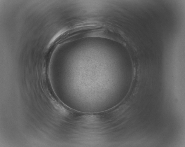 X0000077321450200610271658
