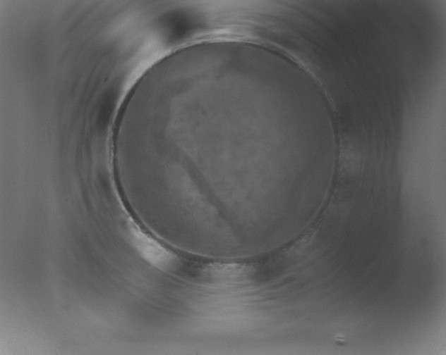 X0000077321474200610271657