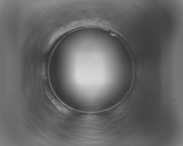 X0000077321499200610271656