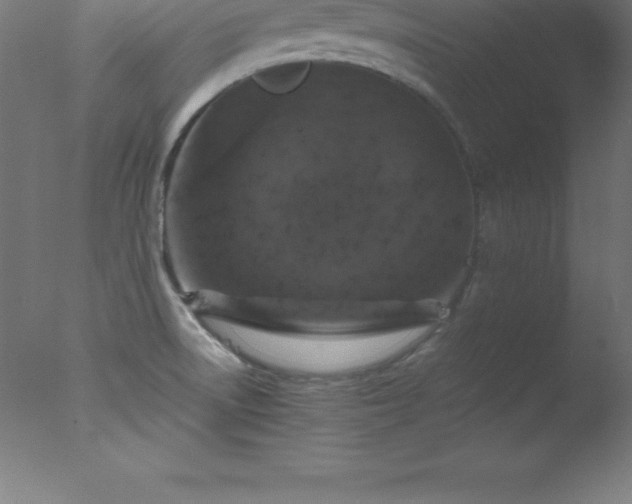 X0000077321522200610271657