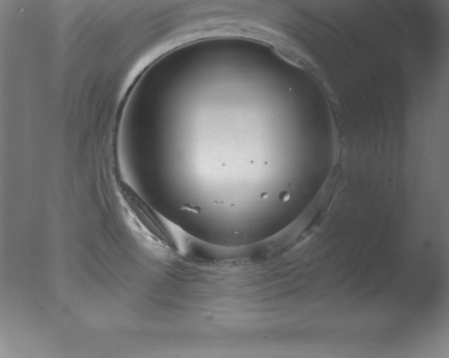 X0000077321530200610271657