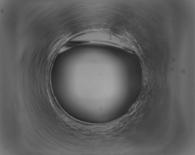 X0000077320001200611031717