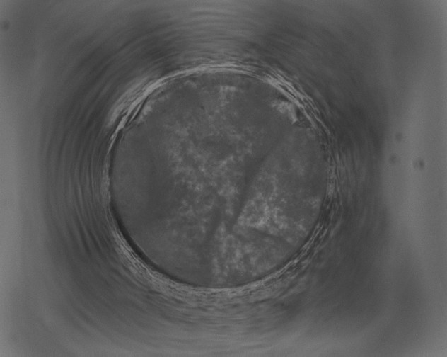 X0000077320002200611031717