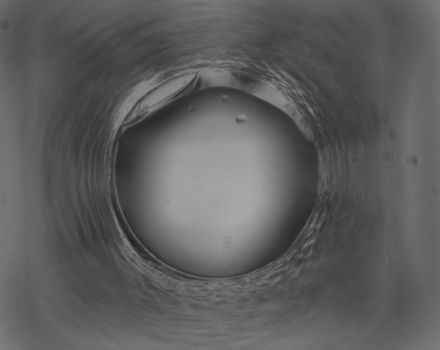 X0000077320003200611031717