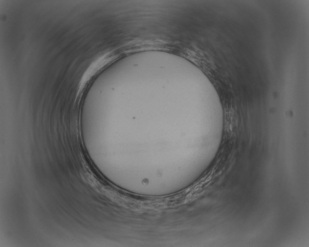 X0000077320004200611031717