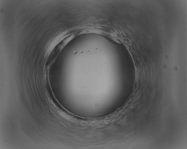 X0000077320005200611031717